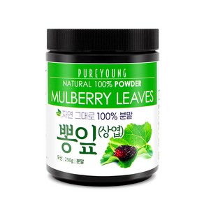 퓨어영 국산 뽕잎가루 250g, 1개