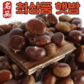 [최상품] 햇밤 밤 알밤 생밤 생밤국산 생율 햇알밤 맛있는밤 국산생밤 생율밤 제수용 2kg 4kg, (1) 햇밤 2kg(중 35mm 140알내외), 1개