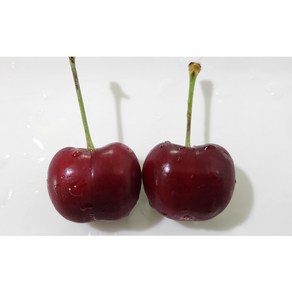 미국직수입 고당도 생 체리, 1박스, 미국산 생 체리 (9.5-10R) 500g*1개