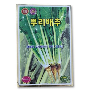 배추씨앗 무씨앗 돌산갓 청갓 적갓 당근 상추 텃밭 씨앗 모음집 김장배추 김장무 채소 야채씨앗, 1개