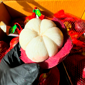 [미친당도] 특가행사 과일여왕 태국직수입 망고스틴, 1박스, 1kg(8-16개)