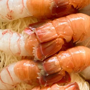 국내산 횟감용 손질 딱새우 특대형 150g 10미, 1개