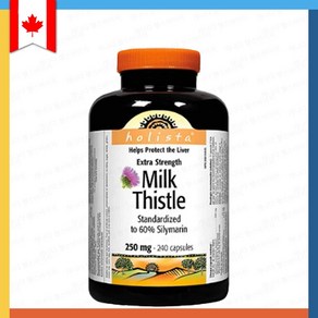 홀리스타 밀크씨슬 실리마린 대용량 고함량 250mg 240캡슐 / HOLISTA MILK THISTLE, 1개, 240정