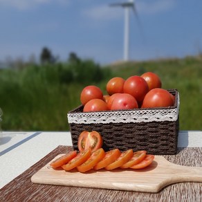 진상 완숙토마토 4.5kg(1-3번과) - 신선도 비교불가