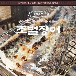 고창 풍천장어 특미 초벌장어 중량업 민물장어 1.6kg 손질및초벌후 순살 800g+이상, 1개, 송제 초벌후순살800g+