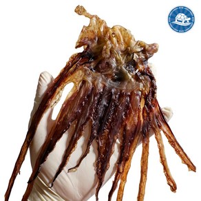 장수왕 추억의 문어발 대 / 추억의 간식 대용량 중부시장도매, 1개, 1kg