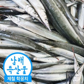 국산 제철 삼천포 학꽁치 회 술안주 막회 회무침 횟감 손질학꽁치 500g