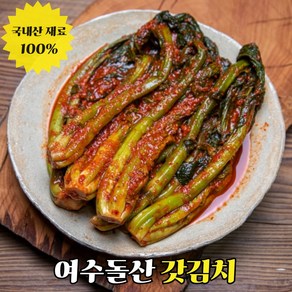 [도도한식탁] 감칠맛의 끝판왕 국내산 여수 돌산 갓김치 전라도 김치, 1박스, 1kg