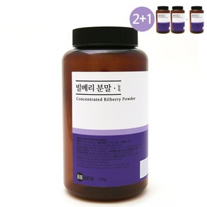 내몸생각 빌베리 대용량 300g 가루 분말 파우더 BILBERRY 2통 구매시1통 추가증정