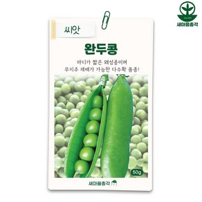 다농 완두콩씨앗 50g 완두 종자 씨, 1개