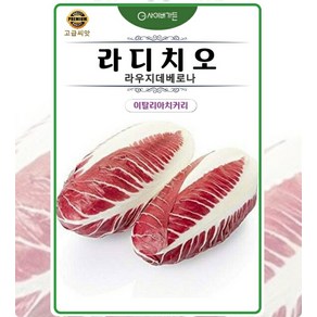사이버가든 씨앗] 씨앗] 라디치오 라우지데베로나 (이탈리아치커리) 300립, 1개