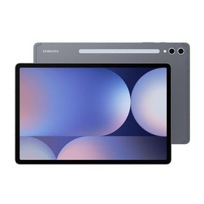 [삼성] 갤럭시탭 S10+ (WiFi) 512GB SM-X820 문스톤 그래이 SM-X820NZAEKOO, Wi-Fi, 문스톤그레이