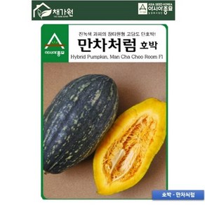 [아시아종묘/단호박씨앗종자] 만차처럼 (10립), 1개