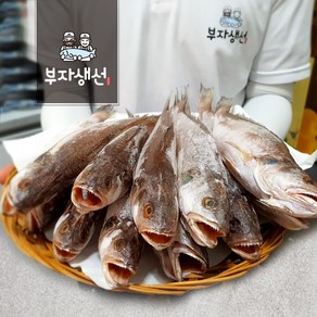 반건조 민어 조기 세트 반찬용 (부자생선)