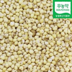 직송 국산 무농약 찰기장 기장쌀 기장, 1개, 500g