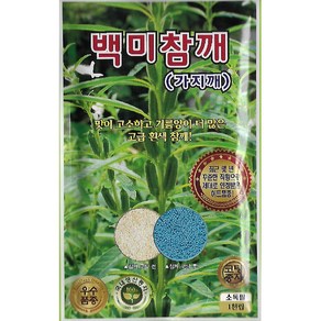 씨앗 백미참깨 1000립, 1개