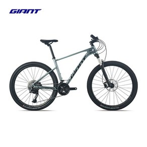 자이언트 XTC 800 산악자전거 MTB, 22단 29인치, 에어라이트M(170-182cm)