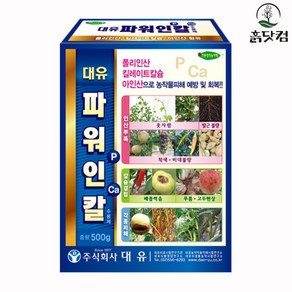 흙닷컴 대유 파워인칼 500g 칼슘 도장억제 웃자람경감, 1개