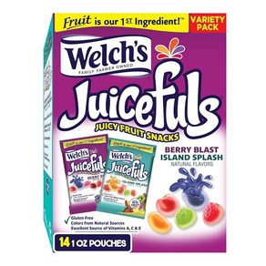 Welch's Juicefuls Juicy 과일 스낵 아일랜드 스플래시/베리 블래스트 학교 점심 거셔에 적합 벌크 팩 글루텐 프리 개별 1인용 백 28.3g(1oz) (