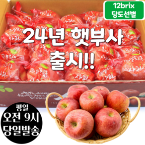 [오전8시 주문건 당일발송] 12브릭스 당도선별 세척사과 3kg (16~21입 소과)