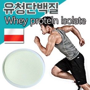 순수 유청단백질 500gx1팩 발효 유청단백질 분말 가루, 500g, 1개