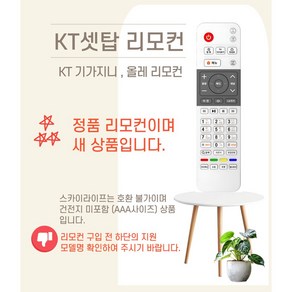 KT 정품 지니 TV 리모컨 일반형 B114, 1개