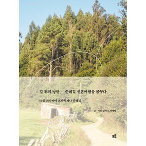 길 위의 낭만 순례길 신혼여행을 꿈꾸다 : 56일간의 비아 프란치제나 순례길