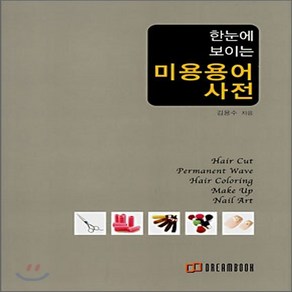 NSB9788995875414 새책-스테이책터 [한눈에 보이는 미용용어 사전]---드림북(DeamBook)-김용수 지음-건강/미용-20061109 출, 한눈에 보이는 미용용어 사전