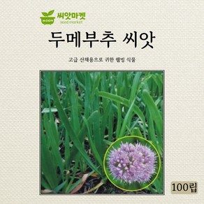 아람종묘 두메부추 씨앗 100립, 1개