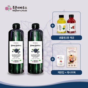 900mlx2병 블루베리엑기스 증정(레시피+계량컵+청귤청+오미자청), 2개, 900ml