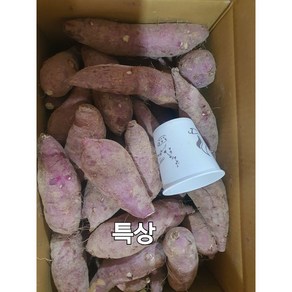 해남 화산 꿀고구마 10Kg, 1박스, 특상