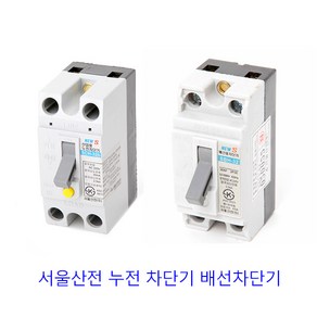 서울산전 누전차단기 배선차단기 2P 15A 20A 30A, 배선 30A(산업용), 1개