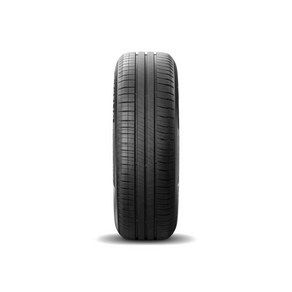 MICHELIN (미슐랭) ENERGY SAVER 4 195/65 R15 95H XL, 1개