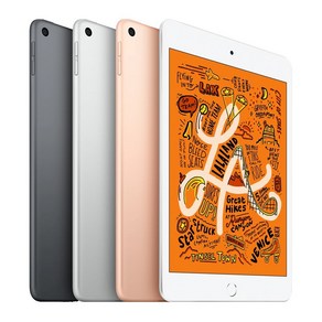 Apple iPad mini 5세대