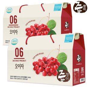 즙쟁이 오미자즙 2박스 60포, 소_개당 중량_상세페이지참조, 2개, 2.4L, 소