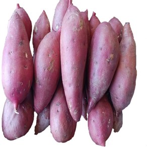 24년 햇고구마 해남 꿀 밤고구마 베니하루카, 1박스, 꿀밤고구마5kg (중품) 60g-120g