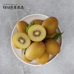 특품 고당도 신선 제주 제스프리 골드 키위 2kg 14~18과, 1개