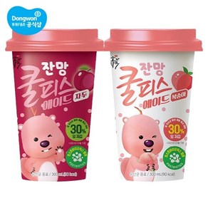 소와나무 쿨피스 에이드 복숭아 300ml 24개/자두, 자두 300ml x 24입, 24개