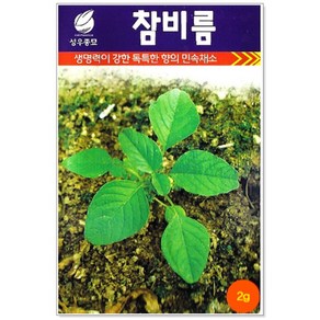[토단] 참비름나물 씨앗 2g, 1개