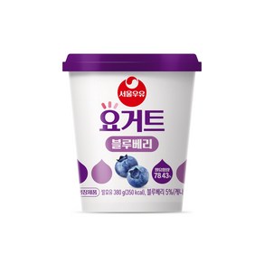 서울우유 요거트 블루베리 380g, 6개