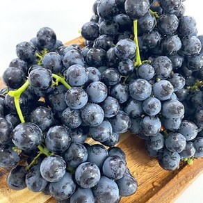 [팜쿡] 씨없는 고당도 세이블 블랙 포도 1kg, 1개
