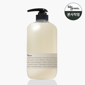 빅그린 23 샴푸 안젤리카 1000ml/ 민감성 두피, 1L, 1개