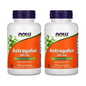 NOW Astagalus 황기뿌리추출물 500mg 100캡슐 2개 아스트라갈루스, 100정