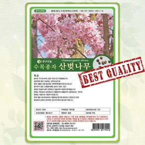 산벚 나무 씨앗 300립 20g 체리대목 종자 씨 봄 여름 가을 산벚나무씨 DN, 1세트