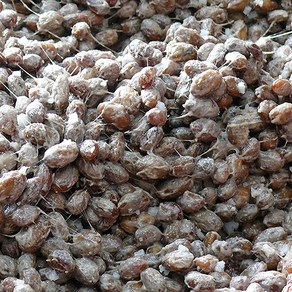 유모례 청국장 /맛있는 수제 저염생청국장, 1개, 2kg