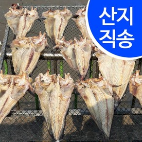 우리존 [임피수산]국내산 반건조 물메기300g(2마리)/군산산지 직배송