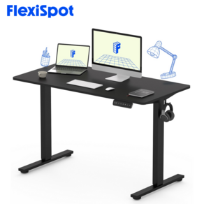 FlexiSpot 전동 모션데스크 EF1 컴퓨터책상 높이조절책상 A/S 5년 높이690-1100mm 학생책상 낮은 높이 사무실책상 게이밍책상, 블랙