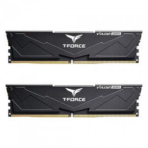 TeamGoup T-Foce DDR5-6000 CL38 Vulcan Black 패키지 (32GB(16Gx2)), 2개