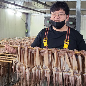 염분을제거한 국내가공 삼천포 마른 오징어 건오징어 말린 오징어, 1개, 10미 1.2kg 내외