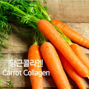 당근콜라겐-천연화장품재료(CARROT COLLAGEN), 30g, 1개